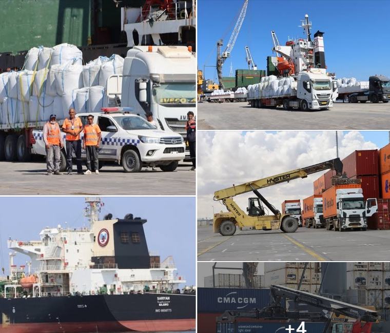 Julyana Free Zone Port receives 93 commercial vessels in August