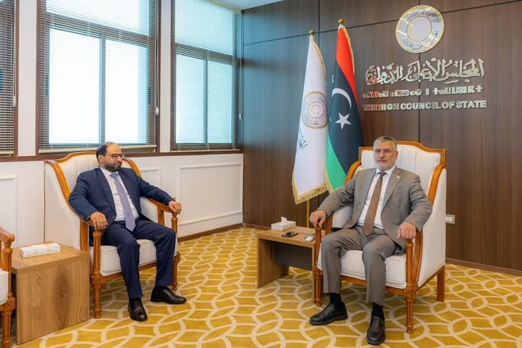 الأعلى للدولة يبحث تحديات قطاع «الثروة البحرية» وسبل تطويره