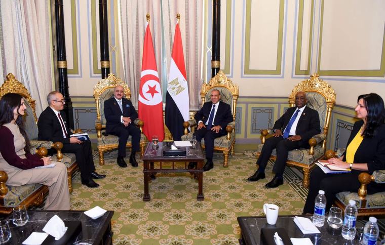 وزيرا الخارجية المصري والتونسي يؤكدان على تسوية سياسية بملكية وقيادة ليبية تفضي إلى إجراء انتخابات رئاسية وبرلمانية .