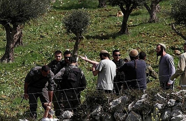 قتلى برصاص إسرائيلي بالضفة.. حسام أبو صفية: الحراس يضربونني ويمنعونني من النوم